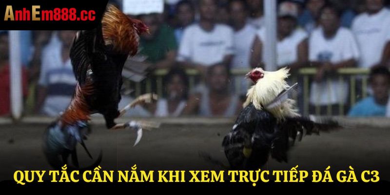 Một số quy tắc cần nắm khi xem trực tiếp đá gà c3 Một số quy tắc cần nắm khi xem trực tiếp đá gà c3